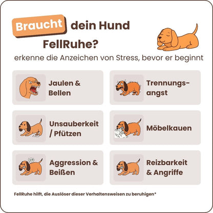 Beruhigungs-Diffuser-Set für Hunde