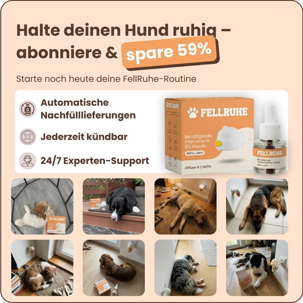 Beruhigungs-Diffuser-Set für Hunde