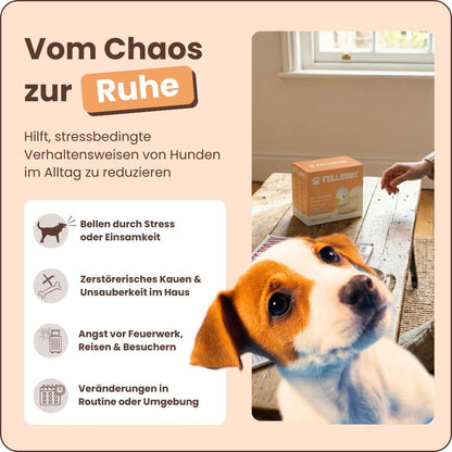 Beruhigungs-Diffuser-Set für Hunde